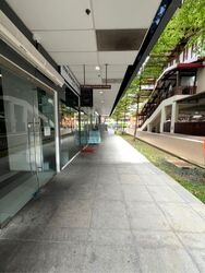 Millage (D14), Retail #606252831